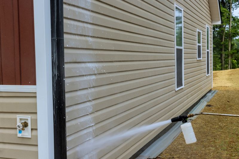 Siding Cleaning Service detail