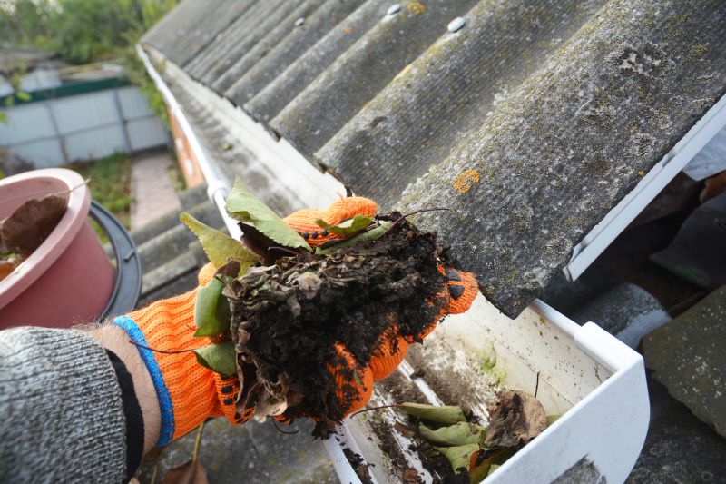 Gutter Leaves Removal in Boulder, CO