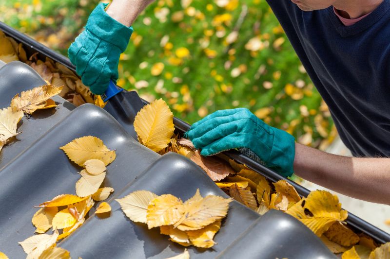 Gutter Leaves Removal in Baltimore, MD