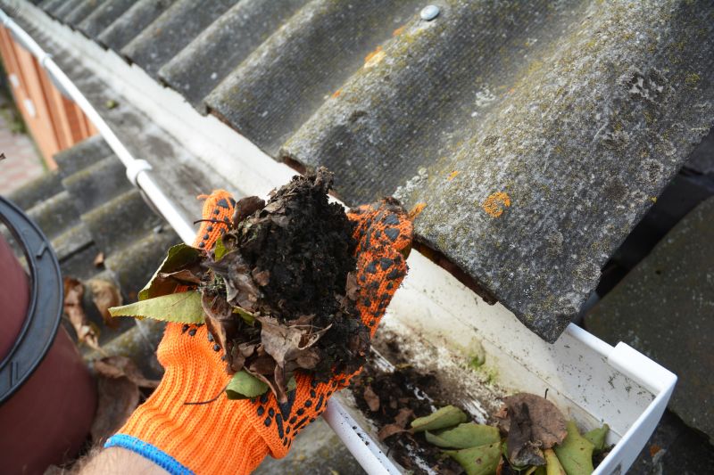 Roof Gutter Cleaning in Baltimore, MD