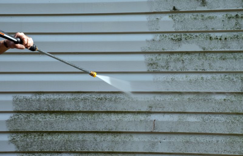 Siding Cleaning Service